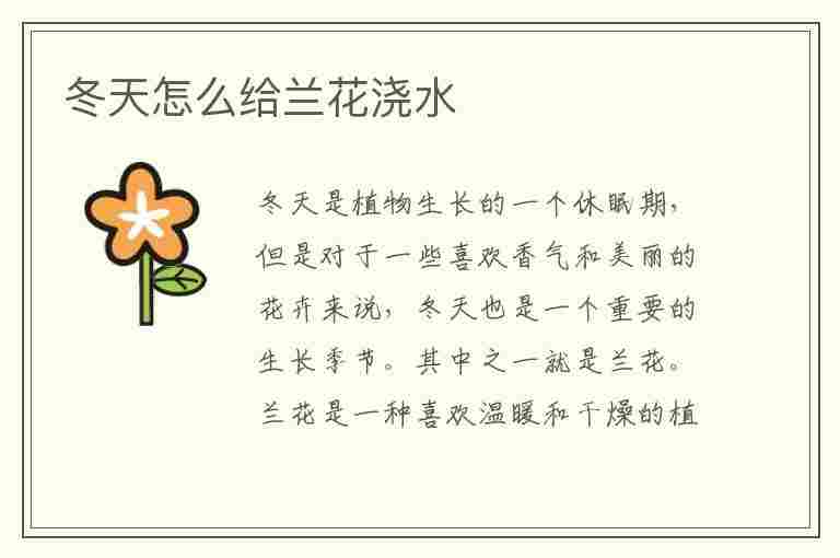 冬天怎么给兰花浇水(冬天怎么给兰花浇水最好)